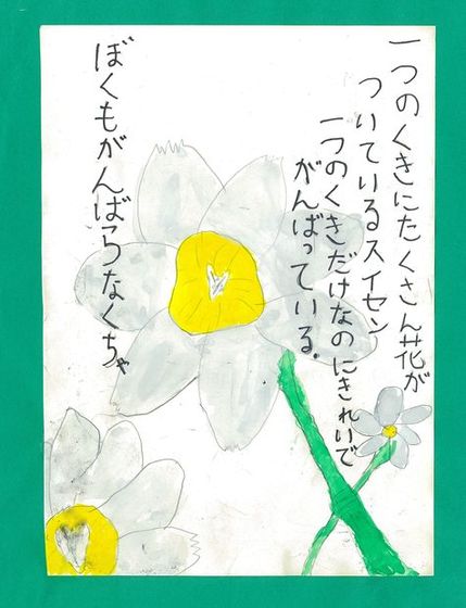 子どもの原画 スイセン